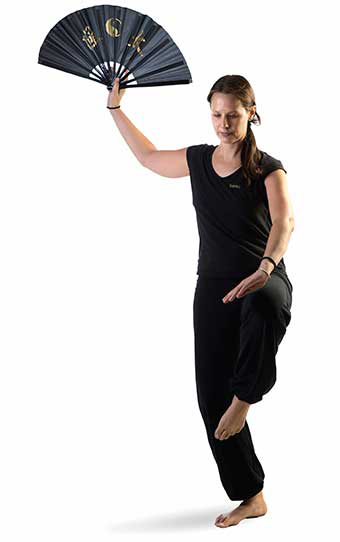 Tai Chi